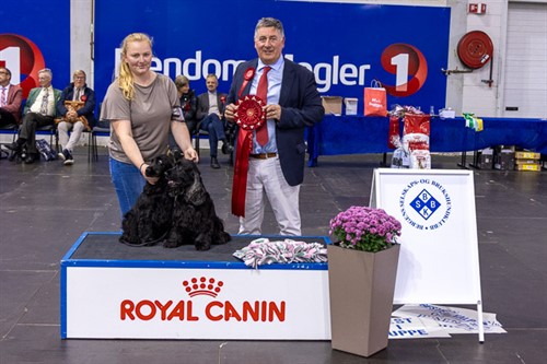 Beste Brace lørdag.jpg